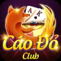 Cáo Đỏ Club